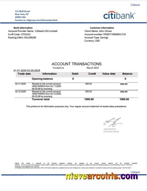 USA Citibank account statement Word and PDF